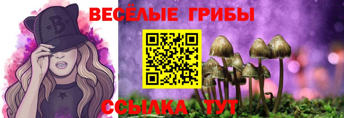 Псилоцибиновые грибы мухоморы Ишимбай